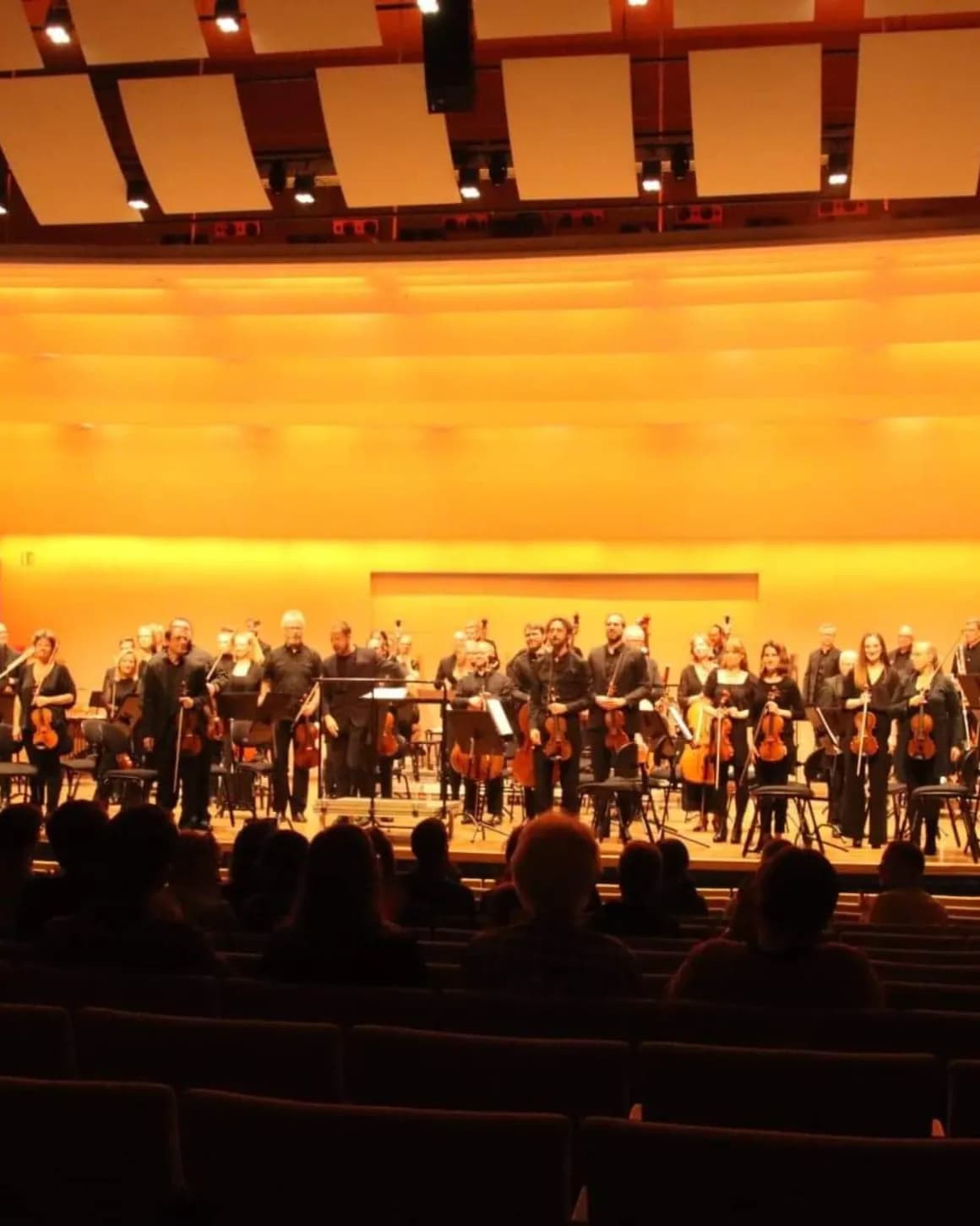 Concert with the Helsingborg Symphony Orchestra